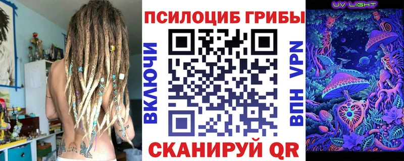 Галлюциногенные грибы Magic Shrooms  нарко площадка телеграм  Усть-Джегута  OMG ONION 
